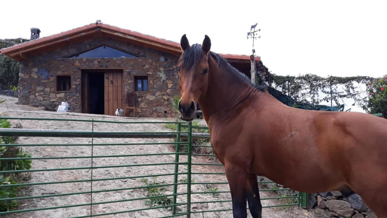 Гостевой дом Finca Rural House Tenerife Relax And Enjoy Санта-Урсула Экстерьер фото