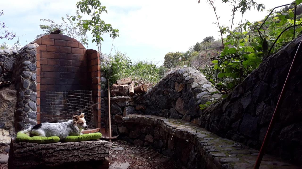 Гостевой дом Finca Rural House Tenerife Relax And Enjoy Санта-Урсула Экстерьер фото