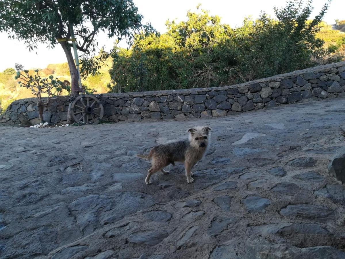 Гостевой дом Finca Rural House Tenerife Relax And Enjoy Санта-Урсула Экстерьер фото