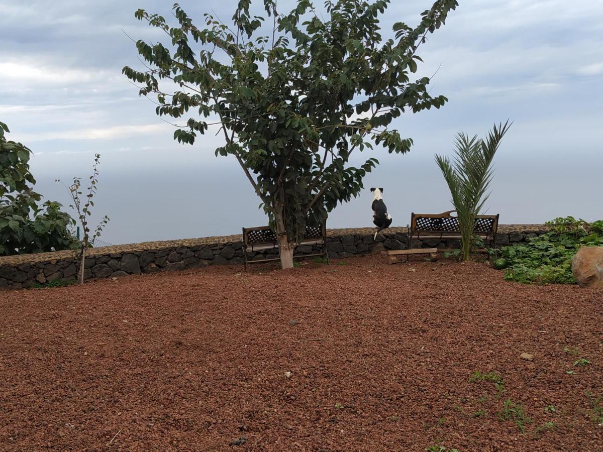 Finca Rural House Tenerife Relax And Enjoy Санта-Урсула Экстерьер фото