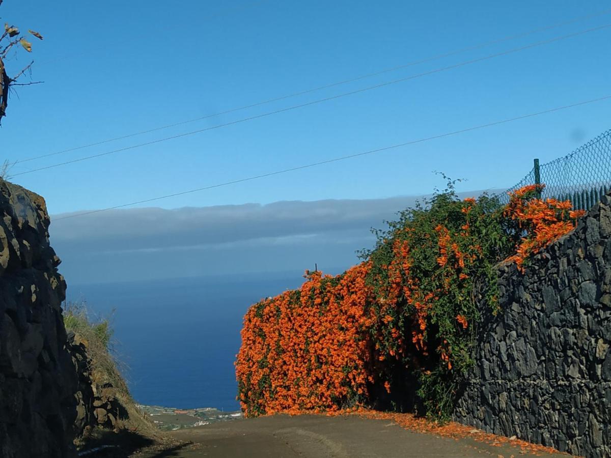 Гостевой дом Finca Rural House Tenerife Relax And Enjoy Санта-Урсула Экстерьер фото