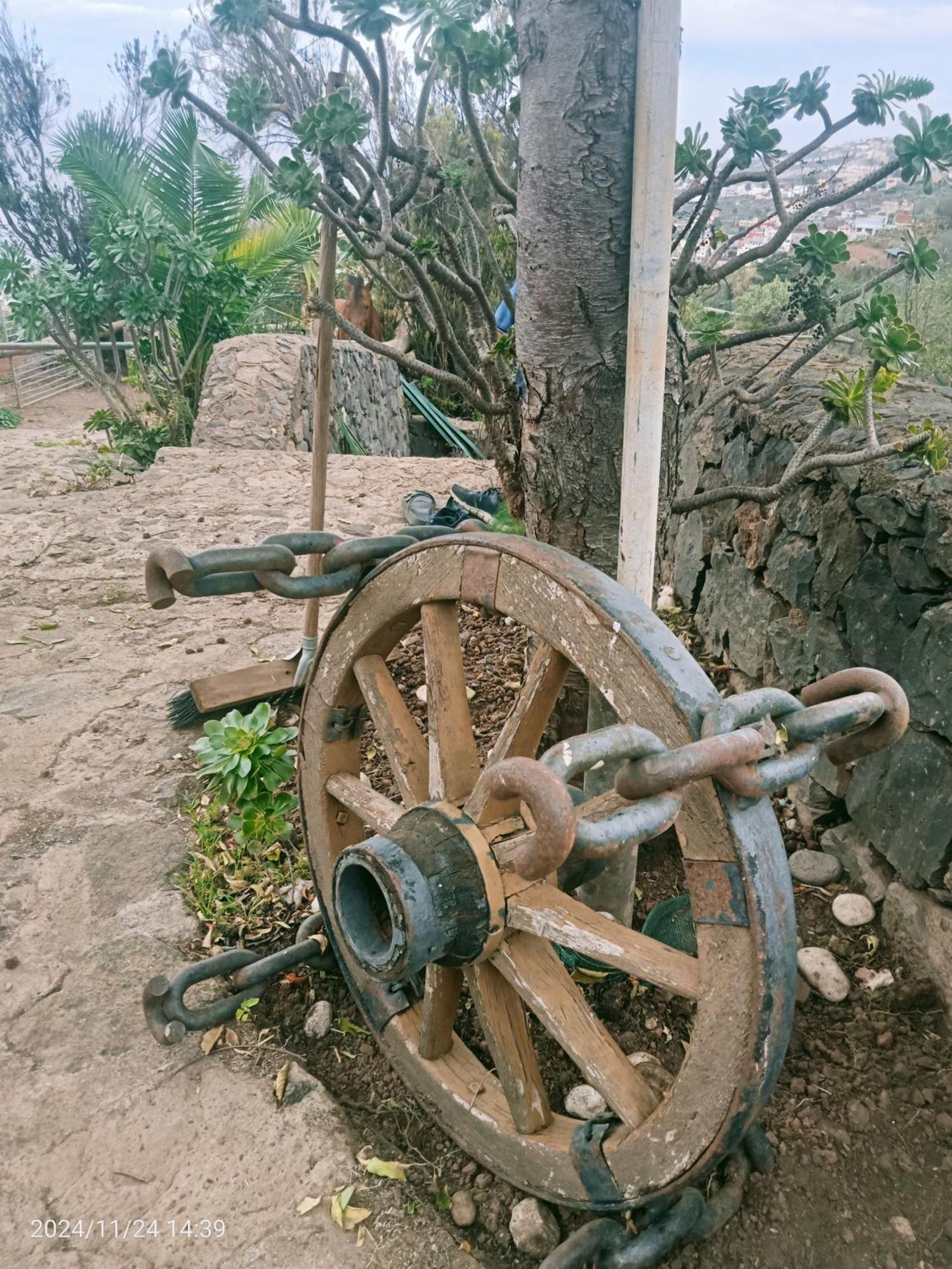 Гостевой дом Finca Rural House Tenerife Relax And Enjoy Санта-Урсула Экстерьер фото