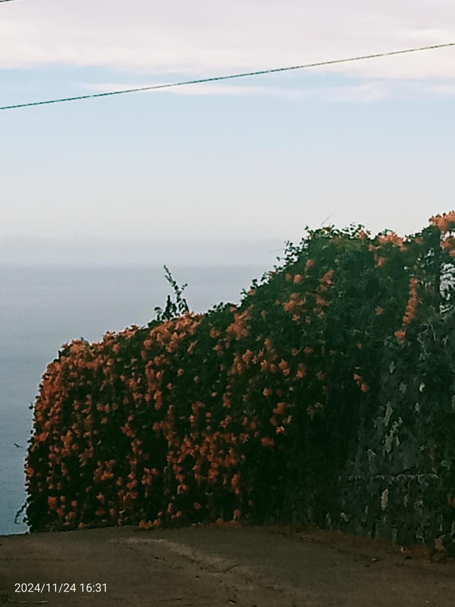 Finca Rural House Tenerife Relax And Enjoy Санта-Урсула Экстерьер фото