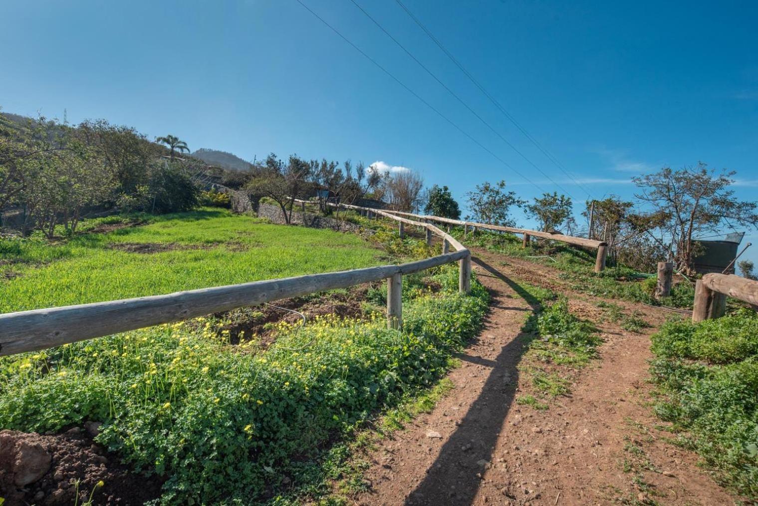 Гостевой дом Finca Rural House Tenerife Relax And Enjoy Санта-Урсула Экстерьер фото