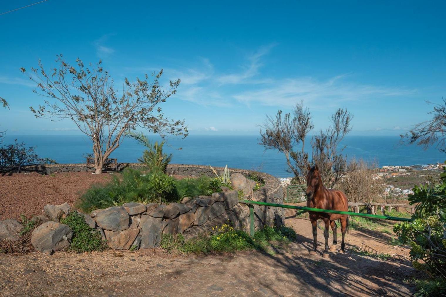 Finca Rural House Tenerife Relax And Enjoy Санта-Урсула Экстерьер фото