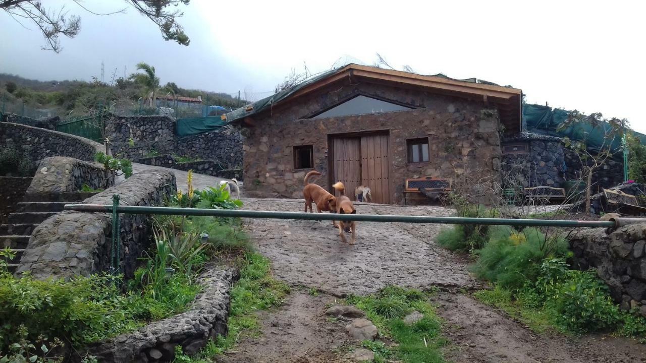 Гостевой дом Finca Rural House Tenerife Relax And Enjoy Санта-Урсула Экстерьер фото