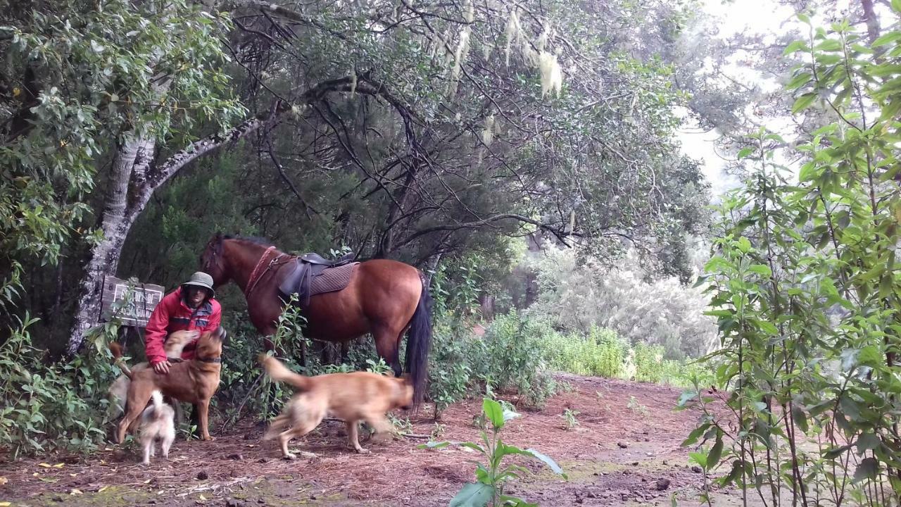 Гостевой дом Finca Rural House Tenerife Relax And Enjoy Санта-Урсула Экстерьер фото