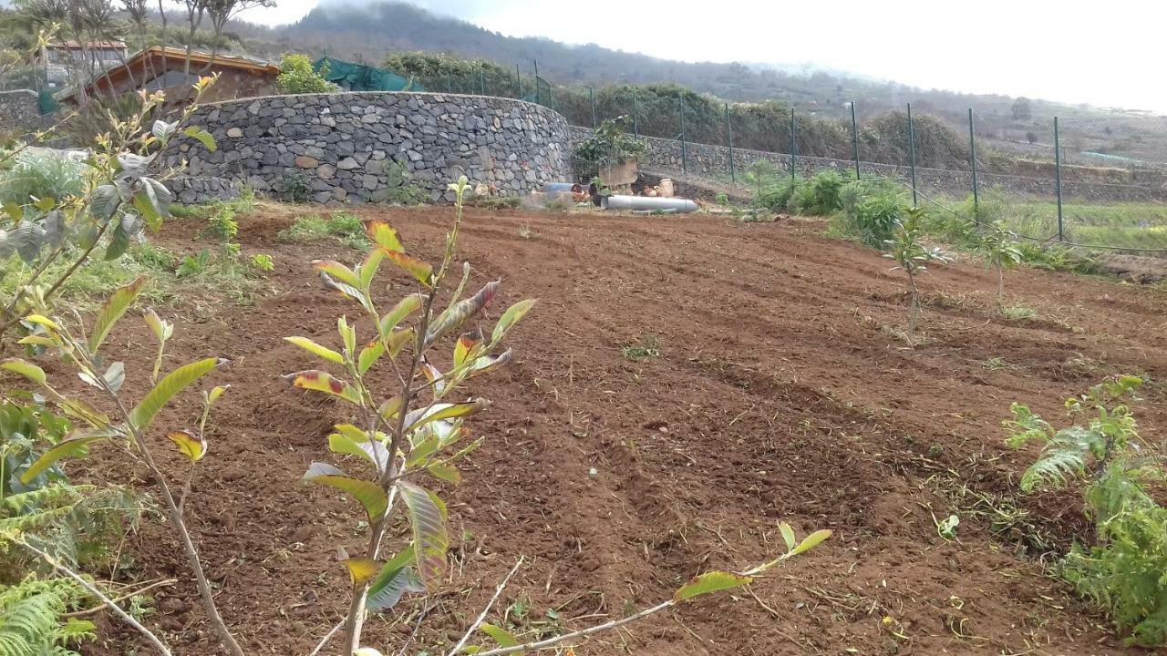 Finca Rural House Tenerife Relax And Enjoy Санта-Урсула Экстерьер фото